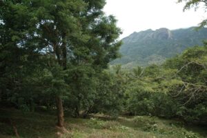 Kutrallam Hills_4